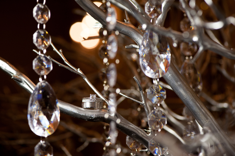 luciens manor wedding-33