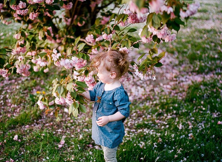 film-photographer-20