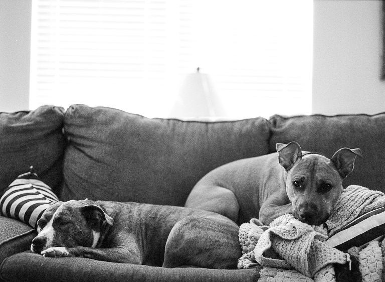 film-photographer-27