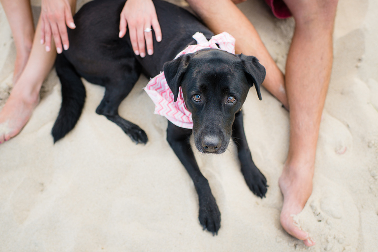 nj-engagement-photographer-5