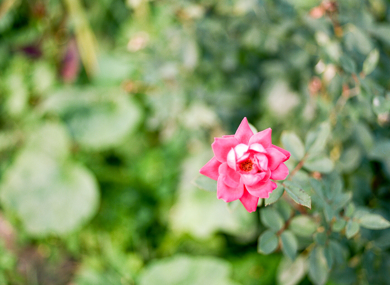 hudson-valley-wedding-photographer-17