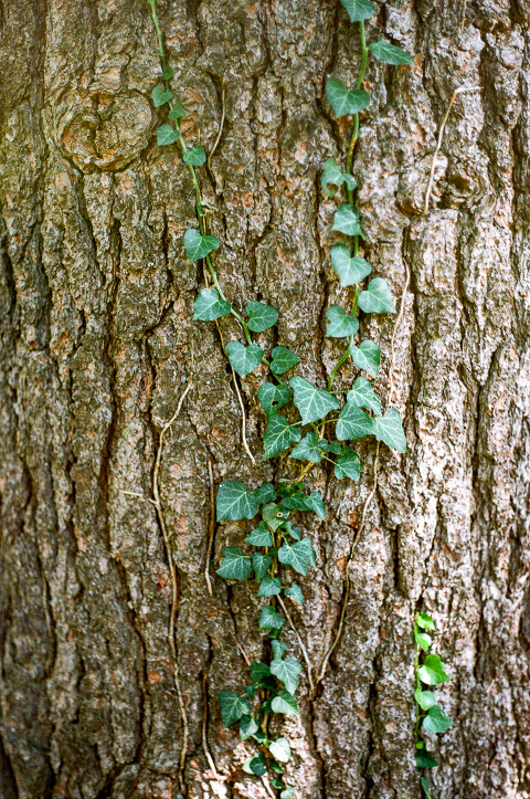 hudson-valley-wedding-photographer-22