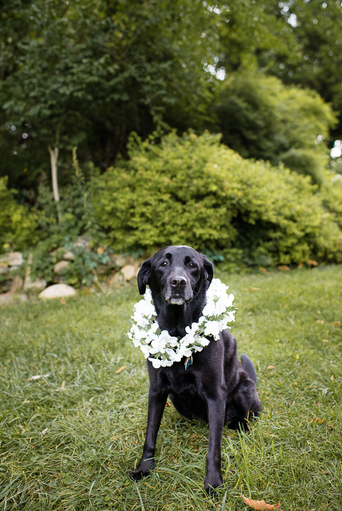 crossed-keys-inn-wedding-14