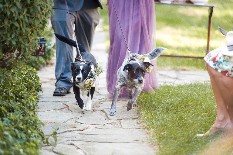 hudson-valley-ny-wedding-11