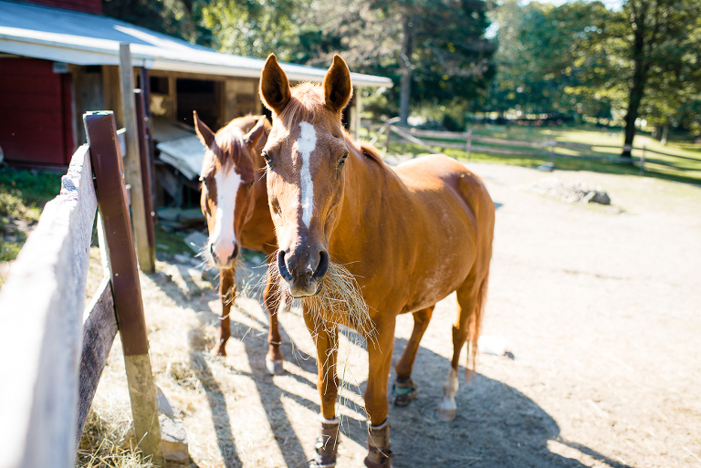 hudson-valley-ny-wedding-52