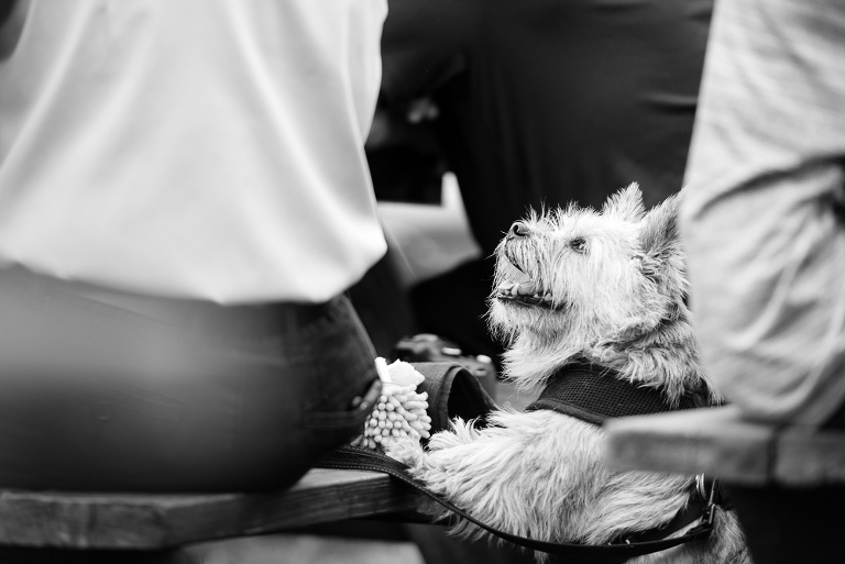 hudson-valley-ny-wedding-61