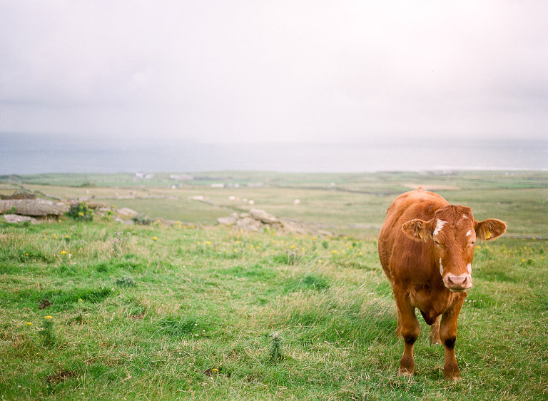 nj-film-photographer-14