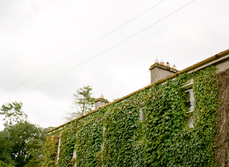 nj-film-photographer-23