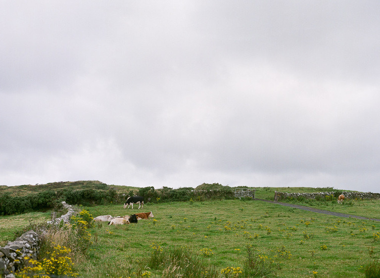 nj-film-photographer-34