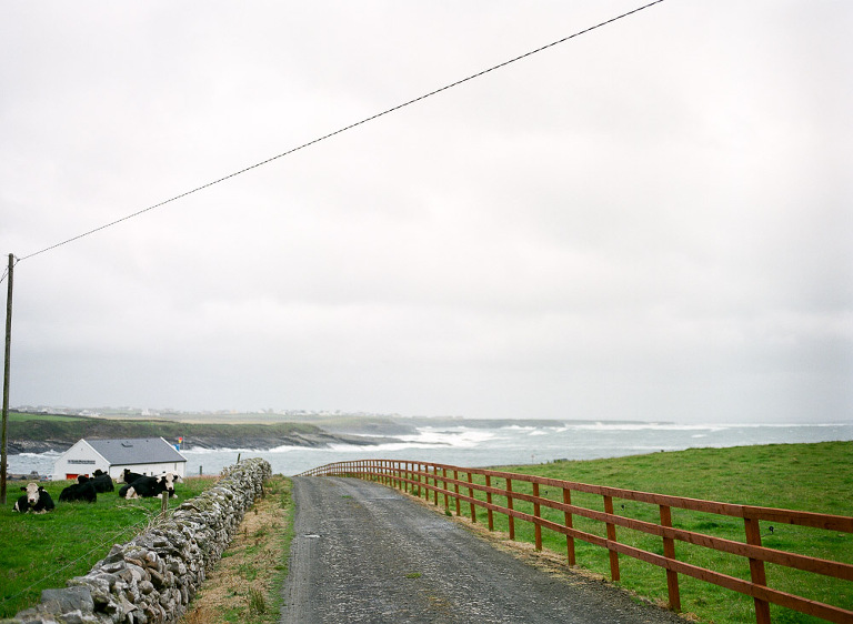 nj-film-photographer-39