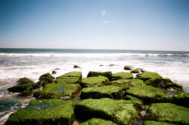 nj-film-photographer-51