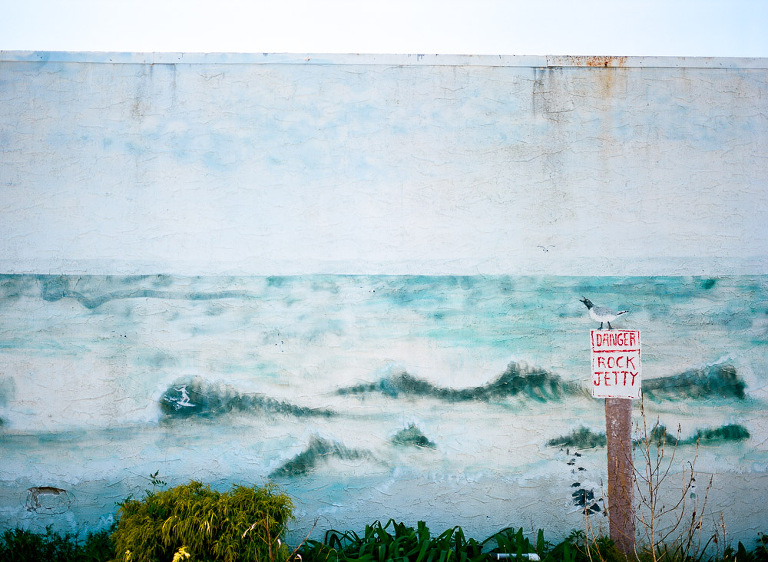 nj-film-photographer-9