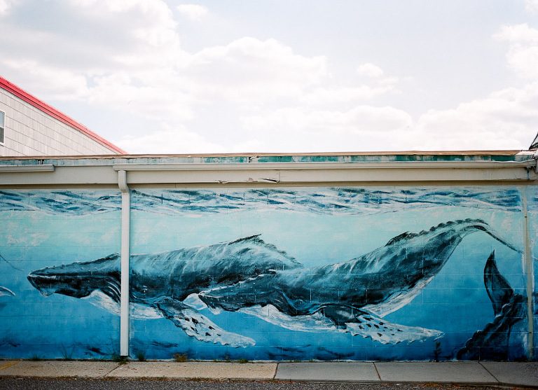 nj-film-photographer-91