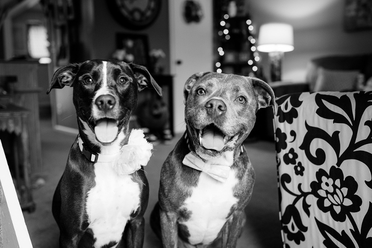 bensalem-country-club-wedding-10