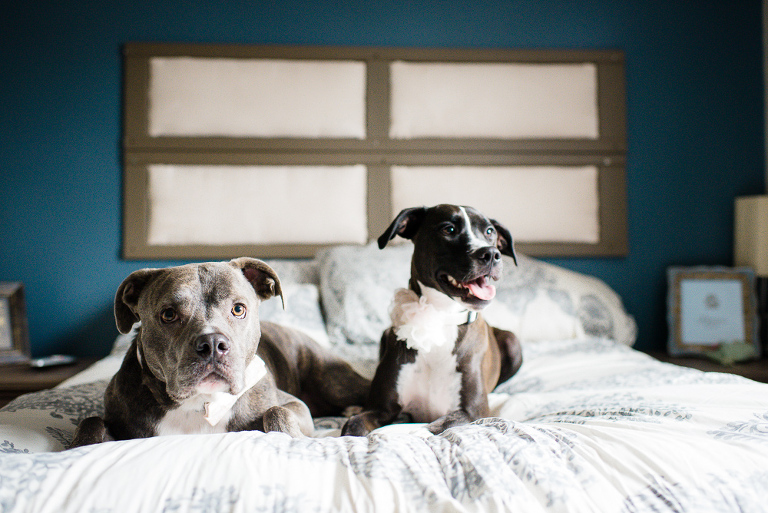 bensalem-country-club-wedding-7