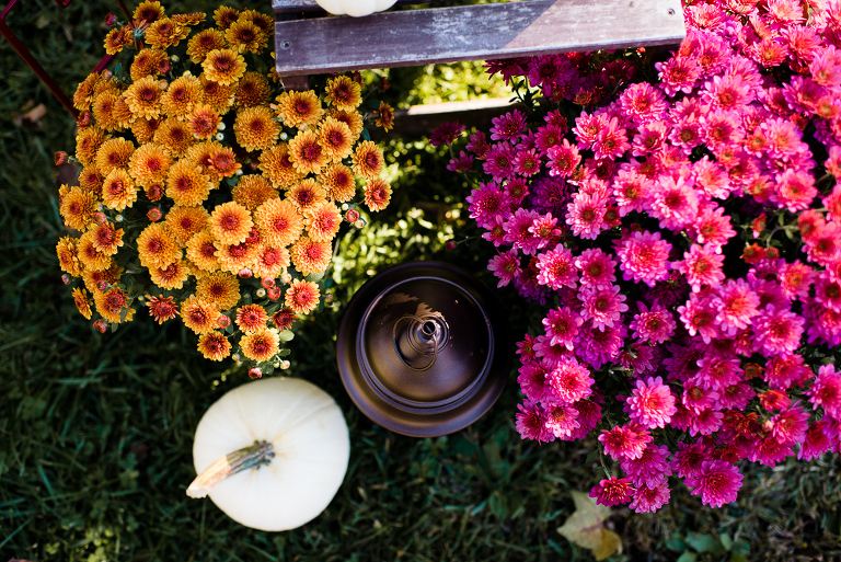 prallsville-mill-wedding-stockton-nj-42