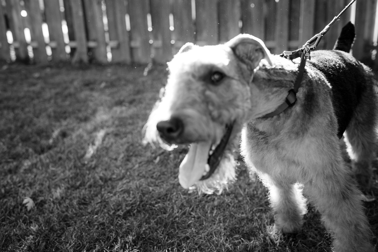 nj-engagement-photographer-5