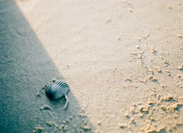 nj-film-photographer-21