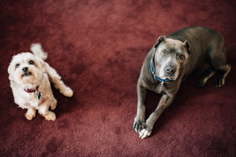 bradford-estate-new-jersey-wedding-photographer-6