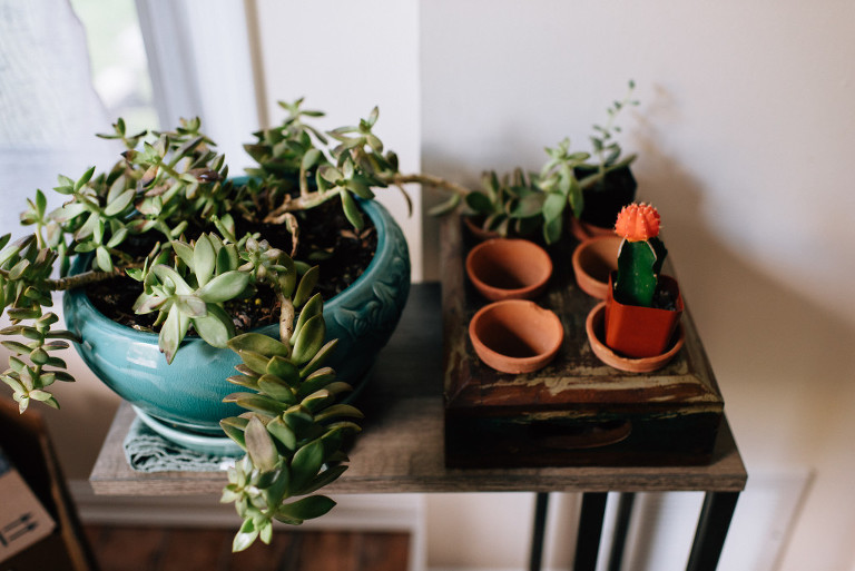 nj-backyard-wedding-3