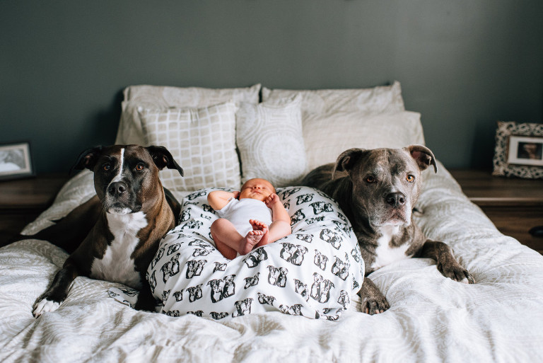 authentic-philadelphia-newborn-photographer-12